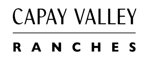 Capay Valley Ranches | Premium California Olive Oil